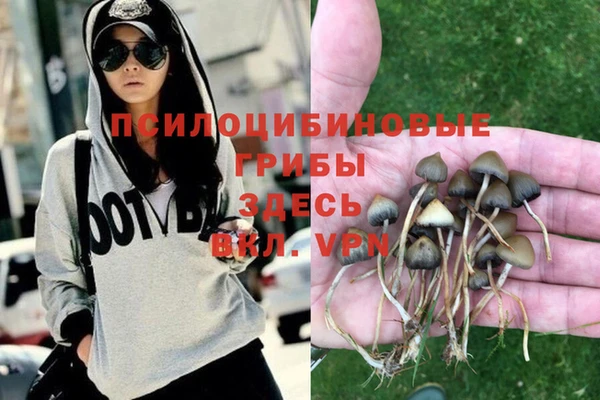 индика Армянск