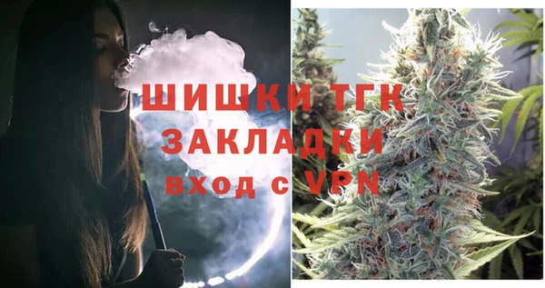 индика Армянск