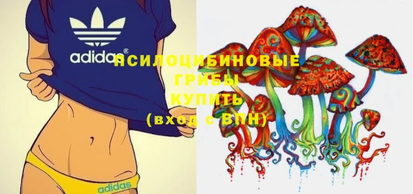 индика Армянск