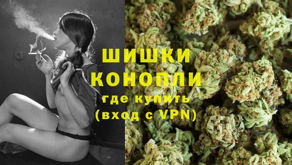 ECSTASY Богородицк