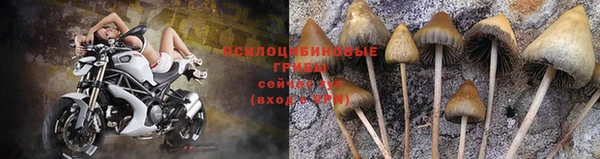 прущий лед Алексин
